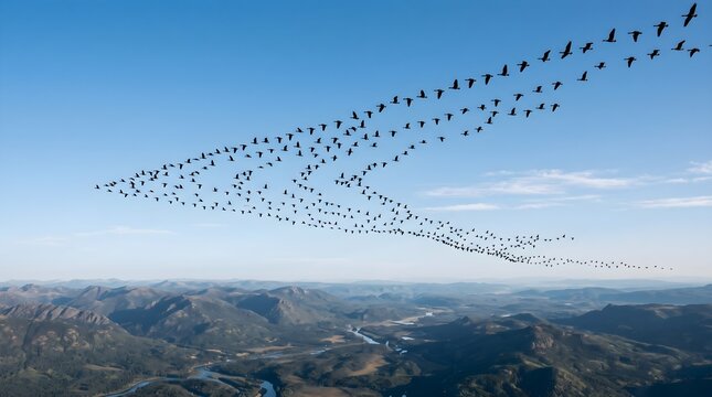 Migrating birds flying in formation over mountains, large flock of wild birds in blue sky, aerial view of bird migration