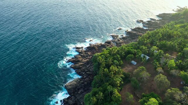 Tropical Coastline with Dark Volcanic Rocks and Palm Trees Overhead