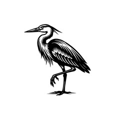 Fototapeta premium Black and White Great Blue Heron Icon