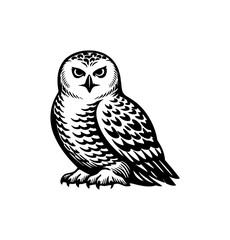 Fototapeta premium Black and White Snowy Owl Illustration