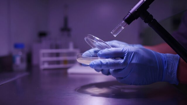 Laboratory Scientist Hand Using Pipette to Transfer Liquid in Petri Dish in Modern Lab