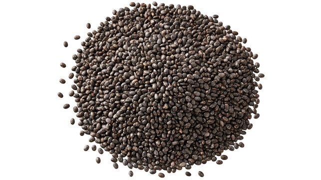 Small dark black chia seeds piled in a circular heap