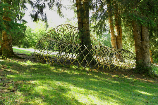 Borgo Valsugana, Italy - August 15, 2026: The architectural installation "Bamboo Ring" by architect Kengo Kuma,  in the forest of Arte Sella open-air contemporary art park