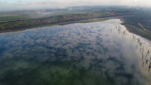 River Murray aerial view, calm water surface with cloud reflections and dead trees, drone shot of Australian landscape. Serene wilderness and natural ecology for documentary or travel