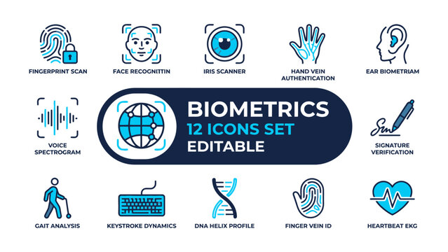 Biometric Identification Icons Set: A comprehensive collection of 12 flat icons representing various biometric authentication methods, including fingerprint, face, iris, hand vein, ear, voice.