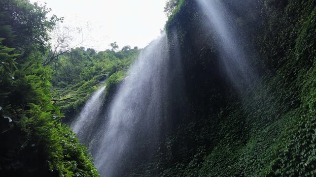 cascading waterfall spray flowing over lush tropical cliffside with mossy rocks and dense green foliage, serene nature scene, tropical rainforest atmosphere, moisture, relaxation, water flow, stream