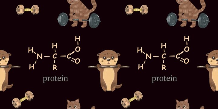 Seamless pattern with pastel drawn fitness animals, otter doing pull ups, cat doing Romanian deadlift with barbell, beige dumbbells and protein formula on dark chocolate background