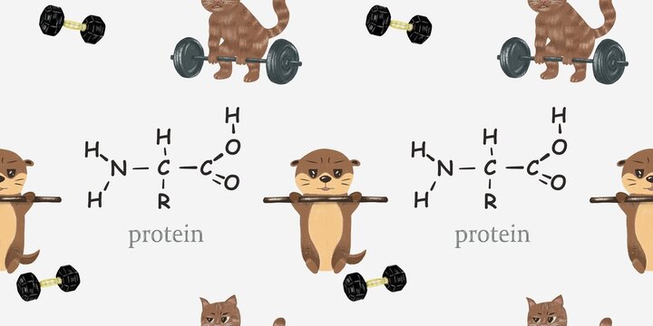 Seamless pattern with pastel drawn fitness animals, otter doing pull ups on bar, cat doing Romanian deadlift with barbell, black dumbbells, protein text and chemical formula on light background