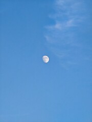 A mobile photograph of the full moon in October 2026 © TK