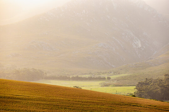 vineyard, rolling hills and farmland at sunset, Stanford, South Africa