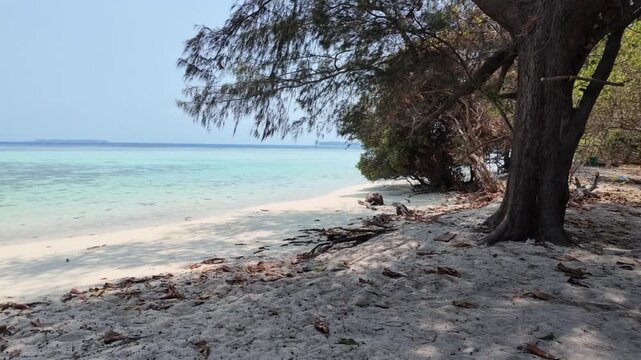Clear turquoise water and white sandy beach at Cemara Kecil island in Karimunjawa, showing tropical paradise, vacation travel, relaxation, serene seascape, summer holiday, coastal landscape