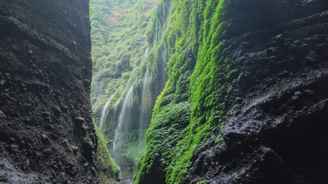 Narrow canyon gorge with tropical waterfall, cascading water over mossy rock walls, lush green foliage and misty atmosphere in Madakaripura, serene nature landscape for travel and exploration video
