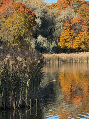 Obraz premium Autumn Landscape Reflected in the Calm Water of a Bay in Helsinki