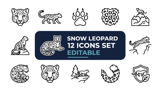 Snow Leopard Icon Set: A collection of stylized line art icons showcasing the majestic snow leopard in various poses and representations, perfect for graphic design projects.