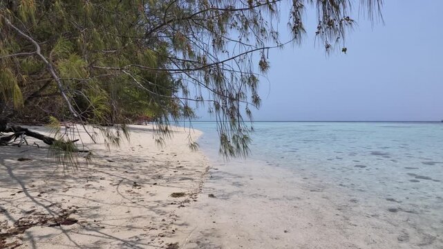 Scenic tropical island shoreline with white sand beach and clear turquoise water, overhanging tree branches creating a tranquil summer atmosphere, perfect for travel promotions and nature