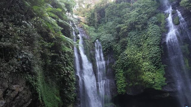 Sekumpul waterfall cascading down tropical cliff face, lush green jungle foliage, water streams, serene Bali nature atmosphere, perfect for travel, meditation, environment themes, relaxation scenery