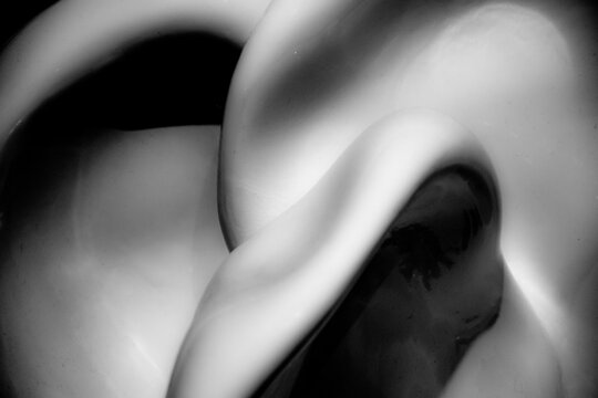 Astratto in bianco e nero di forme morbide e flessuose