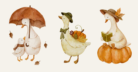 Watercolor autumn geese gathered with pumpkins and cozy fall accessories. Whimsical farm bird illustration for seasonal cards nursery decor storybooks and autumn crafts. © jenteva