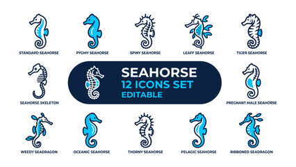 Seahorse Icon Set: A collection of twelve stylized seahorse icons, featuring various types and poses, presented on a clean background. The set includes editable elements for creative customization. © mahmuda428
