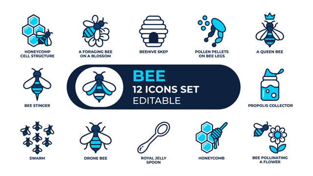 Bee Icons Set: A comprehensive collection of 12 editable icons representing various aspects of bees, including honeycomb, bee types, and hive elements, presented in a clean, modern style.