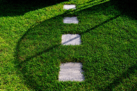 Stepping stone path in lush green garden lawn