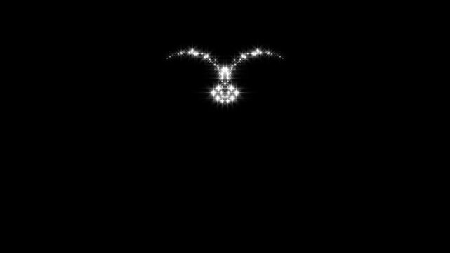 Sparkling white star particles forming a glowing heart shape animation looping on dark black background 4K