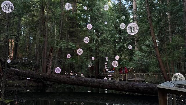 Glowing Christmas light balls hanging over a pond with ducks on a log at Capilano Suspension Bridge Park in Vancouver, magical holiday display in the forest.