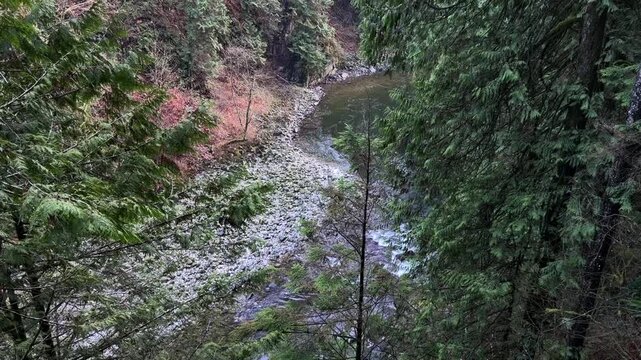 Capilano River flowing through a forested canyon in Vancouver, aerial view of the rocky riverbed and clear water surrounded by tall evergreen trees.