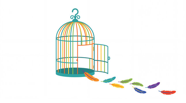 Colorful vector bird cage open with feathers on white background
