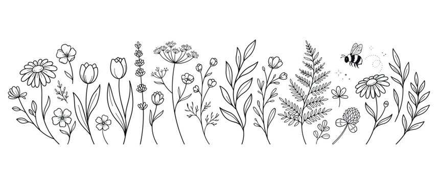 Set of outline flowers and plants with bee for coloring book page.