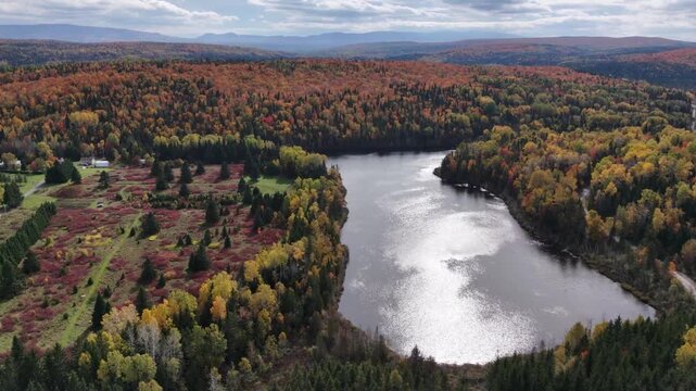 Drone footage over Lac Edouard surrounded by vibrant autumn boreal forest in the Matap&eacute;dia Valley, with the Appalachian Mountains visible in the distance beneath a cloudy sky in Sayabec, Quebec.