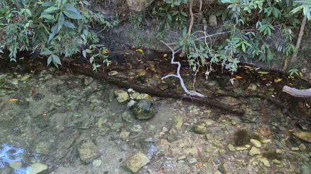 cerrado alto paraiso