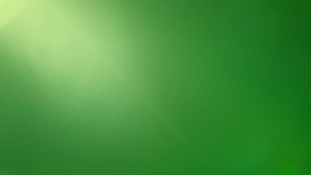 Soft morning light glowing across serene dark green foliage, clean diagonal light leak, elegant organic background with copy space