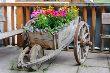 Rustic wooden cart overflowing with colorful geraniums and summer flowers, creating a charming countryside garden display. © giemmephoto