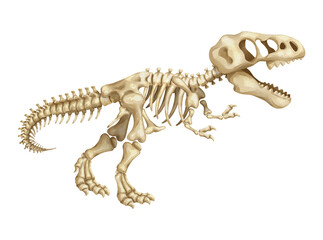 Watercolor t-rex dinosaur skeleton isolated PNG illustration, featuring a hand-drawn prehistoric tyrannosaurus fossil bones structure on a transparent background. © stockdevil