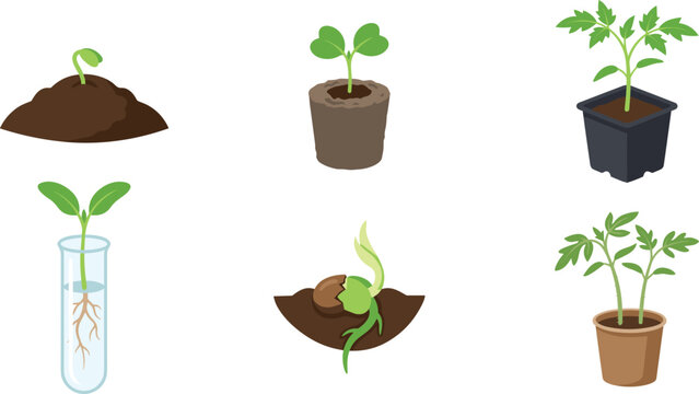 Plant Growth and Seedling Propagation Vector Icon Set featuring Sprouting Seeds, Roots, and Young Plants for Agriculture, Gardening, and Education Graphic Designs