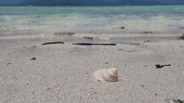 Single conch shell resting on the fine white sand of Cemara Kecil beach with gentle ocean waves in the background, serene tropical island getaway