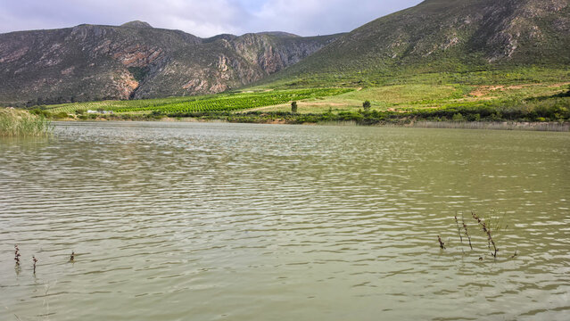 View of a calm reservoir surrounded by rolling hills, lush green agricultural fields, and rugged mountains under a cloudy sky in Hoeko, Western Cape, South Africa.