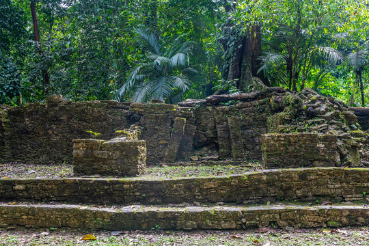 Mayan ruins of the Bat Group in the rainforest, Palenque, Chiapas, Mexico.