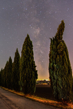 View of a row of cypress trees lining a road under a starry night sky with the Milky Way visible in Contrada Sarrocciano, Corridonia, Marche, Italy.