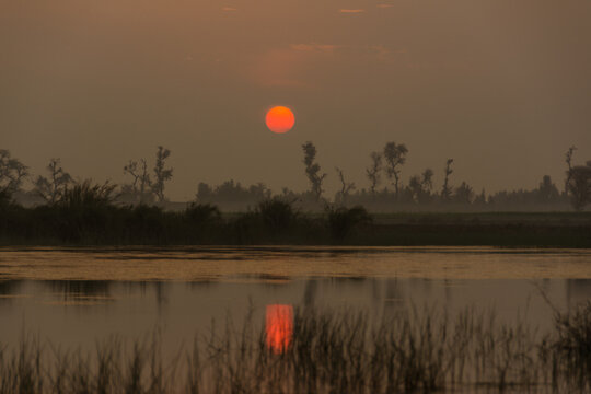 View of a vibrant sunset casting a warm glow over a calm lake with silhouettes of trees and reeds in the foreground in Multan, Punjab, Pakistan.