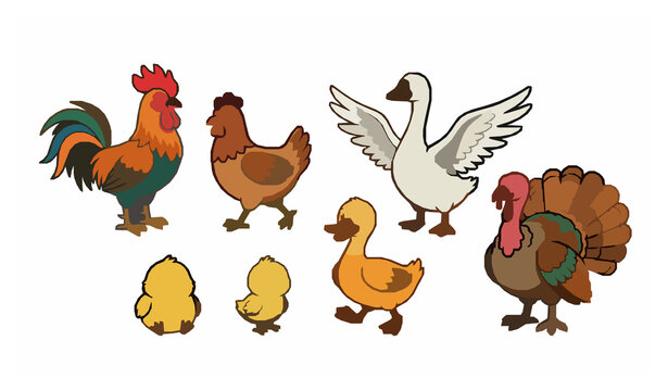 Cute Farm Birds Cartoon Vector Collection with Rooster Hen Chick Duck Goose and Turkey