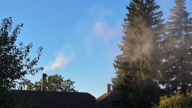 Wood smoke drifting above village rooftops in Serbia in autumn
