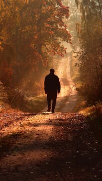 morning walk