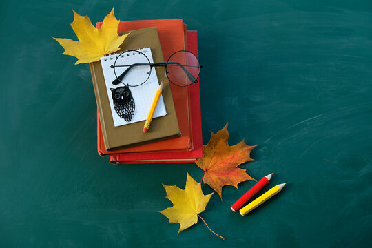 Notebook, pencils, learning books, eyeglass, autumn maple leaves on chalkboard background. Teacher's day holiday, education, 1 september, back to school, Day of knowledge concept. flat lay. copy space