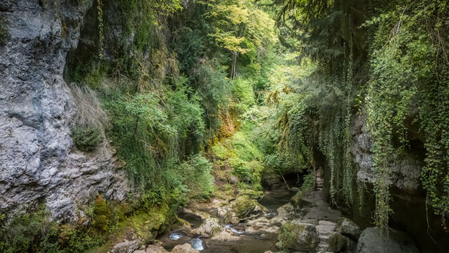 View of Tine de Conflens featuring a rocky gorge with lush green vegetation, moss-covered cliffs, and a flowing stream in Ferreyres, Vaud, Switzerland.