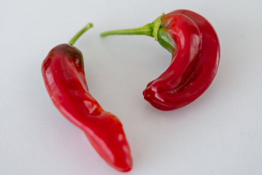 Frische rote Paprika isoliert - Rote Peperoni &ndash; frisches Gem&uuml;se