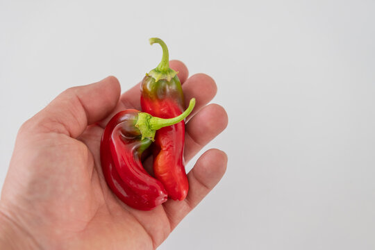 Frische rote Paprika isoliert - Rote Peperoni &ndash; frisches Gem&uuml;se