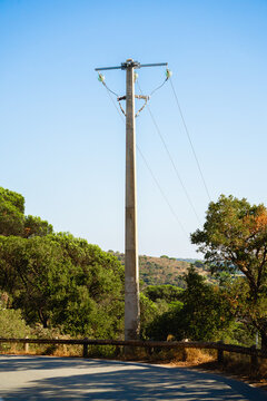View of a concrete utility pole beside a road near Gigaro, surrounded by Mediterranean trees under a clear blue sky in La Croix-Valmer, Provence-Alpes-Cote d'Azur, France.