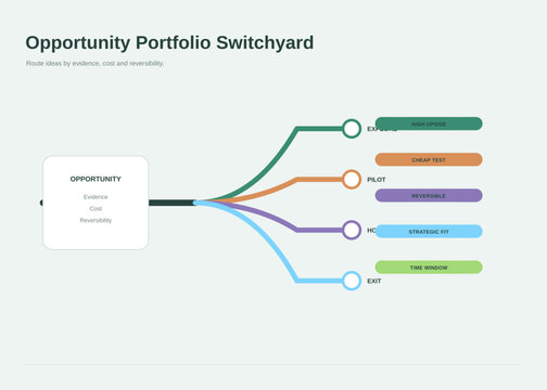Opportunity Portfolio Decision Analysis Diagram